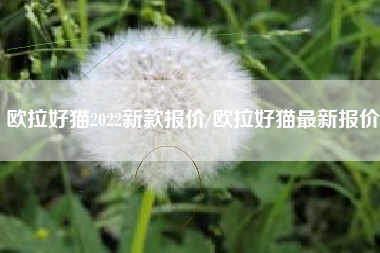 欧拉好猫2022新款报价/欧拉好猫最新报价