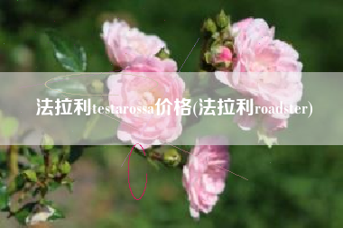 法拉利testarossa价格(法拉利roadster) 法拉利testarossa价格(法拉利roadster)