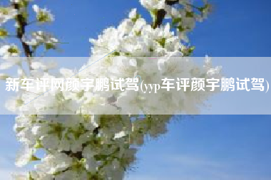 新车评网颜宇鹏试驾(yyp车评颜宇鹏试驾) 新车评网颜宇鹏试驾(yyp车评颜宇鹏试驾)