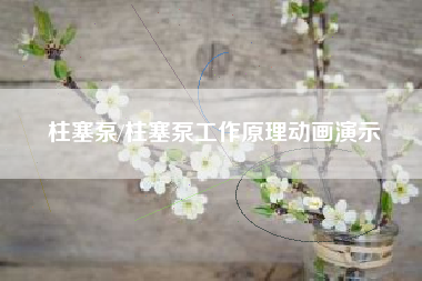 柱塞泵/柱塞泵工作原理动画演示