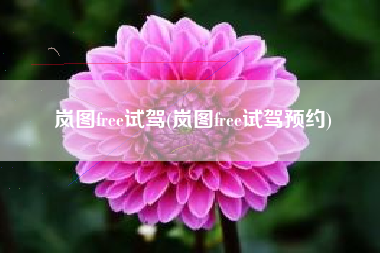 岚图free试驾(岚图free试驾预约) 岚图free试驾(岚图free试驾预约)