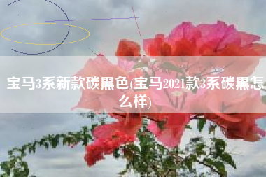 宝马3系新款碳黑色(宝马2021款3系碳黑怎么样) 宝马3系新款碳黑色(宝马2021款3系碳黑怎么样)