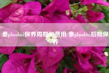 秦plusdmi保养周期和费用/秦plusdmi后期保养