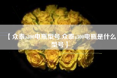 【众泰z300电瓶型号,众泰z300电瓶是什么型号】 【众泰z300电瓶型号,众泰z300电瓶是什么型号】