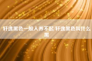 轩逸黑色一般人养不起/轩逸黑色叫什么黑 轩逸黑色一般人养不起/轩逸黑色叫什么黑