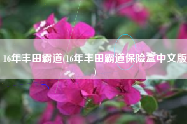 16年丰田霸道(16年丰田霸道保险盒中文版) 16年丰田霸道(16年丰田霸道保险盒中文版)