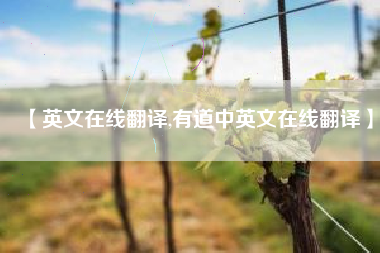 【英文在线翻译,有道中英文在线翻译】