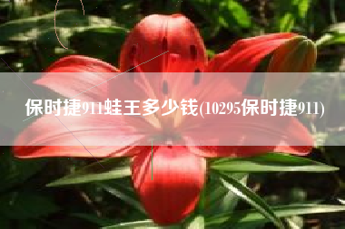 保时捷911蛙王多少钱(10295保时捷911) 保时捷911蛙王多少钱(10295保时捷911)