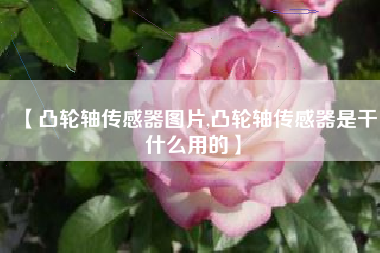 【凸轮轴传感器图片,凸轮轴传感器是干什么用的】 【凸轮轴传感器图片,凸轮轴传感器是干什么用的】