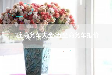 5座商务车大全/五坐商务车报价 5座商务车大全/五坐商务车报价