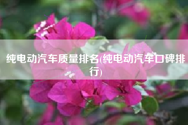 纯电动汽车质量排名(纯电动汽车口碑排行) 纯电动汽车质量排名(纯电动汽车口碑排行)