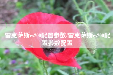 雷克萨斯es200配置参数/雷克萨斯es200配置参数配置 雷克萨斯es200配置参数/雷克萨斯es200配置参数配置