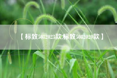 【标致5082023款,标致5082020款】