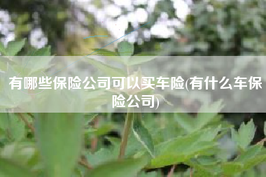 有哪些保险公司可以买车险(有什么车保险公司) 有哪些保险公司可以买车险(有什么车保险公司)