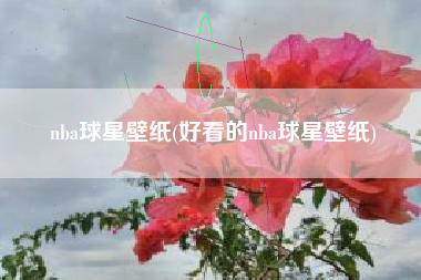 nba球星壁纸(好看的nba球星壁纸) nba球星壁纸(好看的nba球星壁纸)