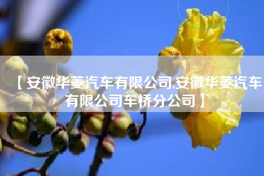【安徽华菱汽车有限公司,安徽华菱汽车有限公司车桥分公司】 【安徽华菱汽车有限公司,安徽华菱汽车有限公司车桥分公司】
