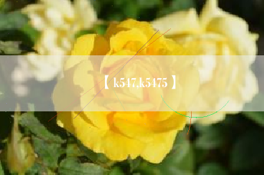 【k547,k5475】