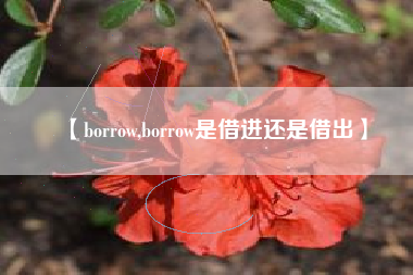 【borrow,borrow是借进还是借出】