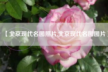 【北京现代名图照片,北京现代名图图片】