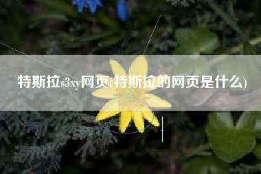 特斯拉s3xy网页(特斯拉的网页是什么)