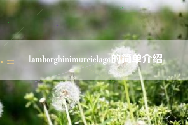 lamborghinimurcielago的简单介绍 lamborghinimurcielago的简单介绍