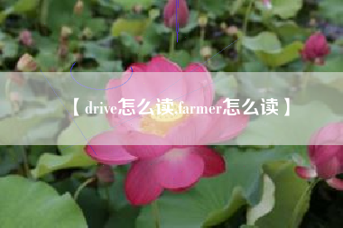 【drive怎么读,farmer怎么读】