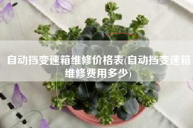 自动挡变速箱维修价格表(自动挡变速箱维修费用多少)