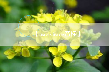 【leaves,leaves音标】
