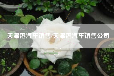 天津港汽车销售/天津港汽车销售公司