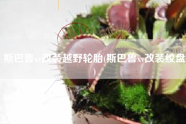 斯巴鲁xv改装越野轮胎(斯巴鲁xv改装绞盘)